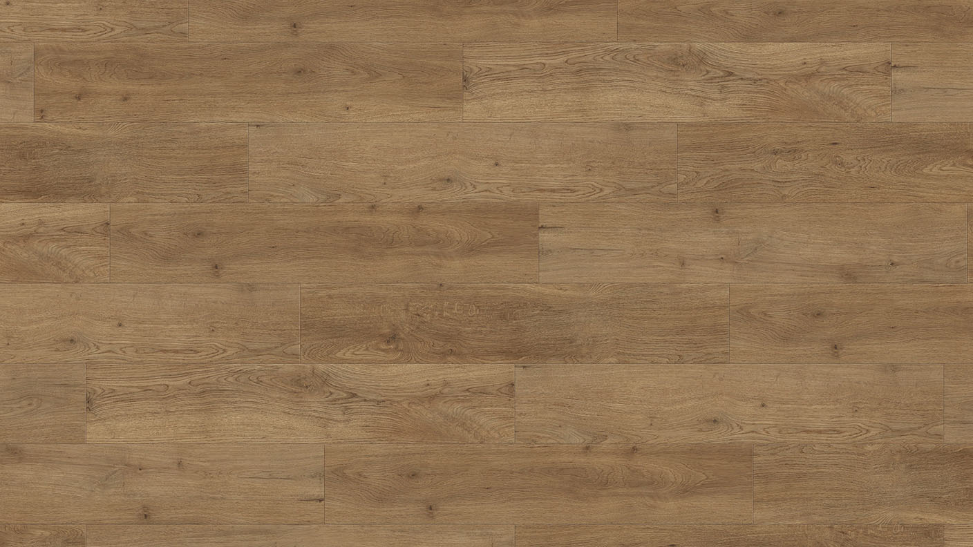 ACF Image 1