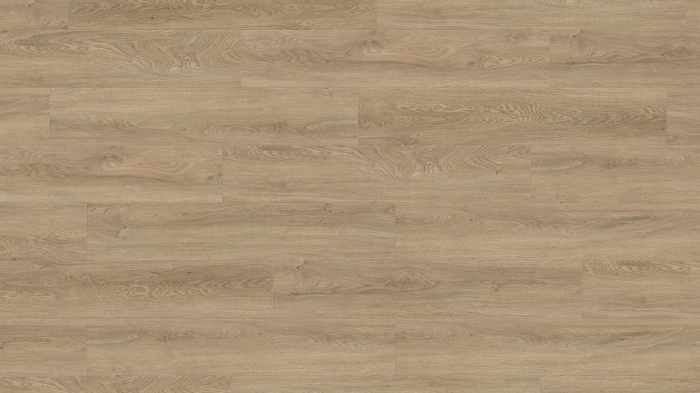 ACF Image 1