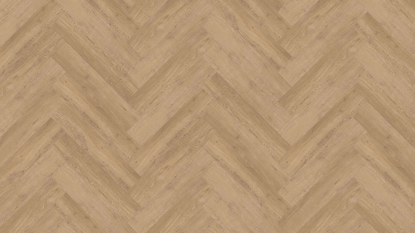 ACF Image 1