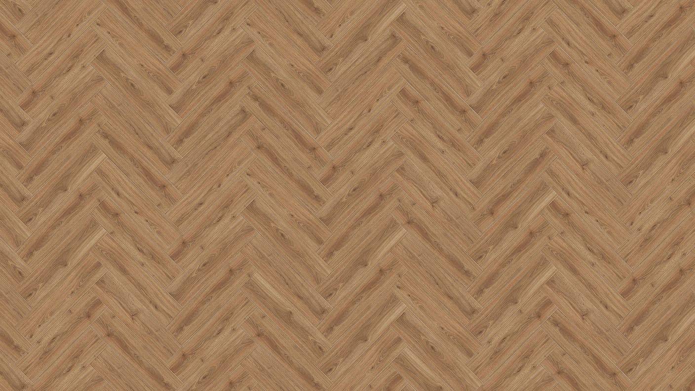 ACF Image 1
