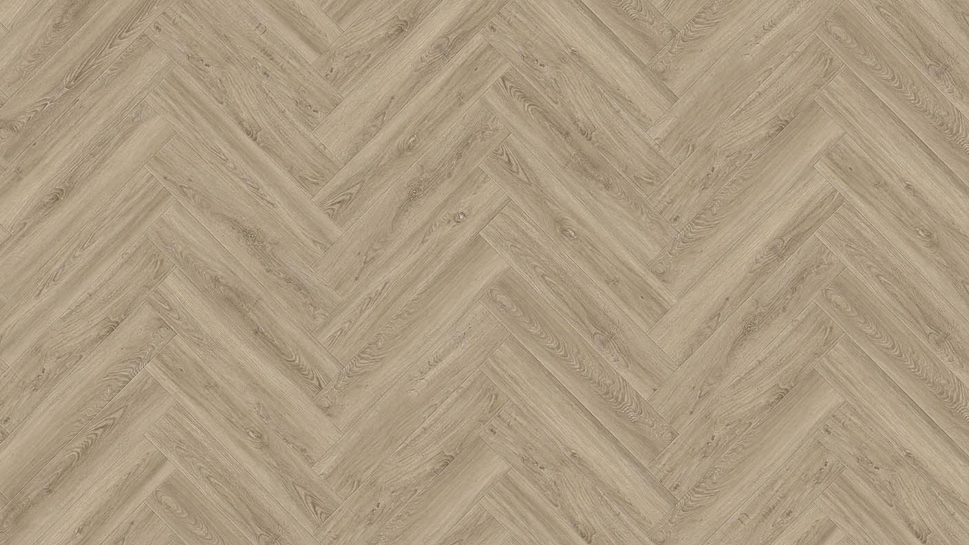 ACF Image 1