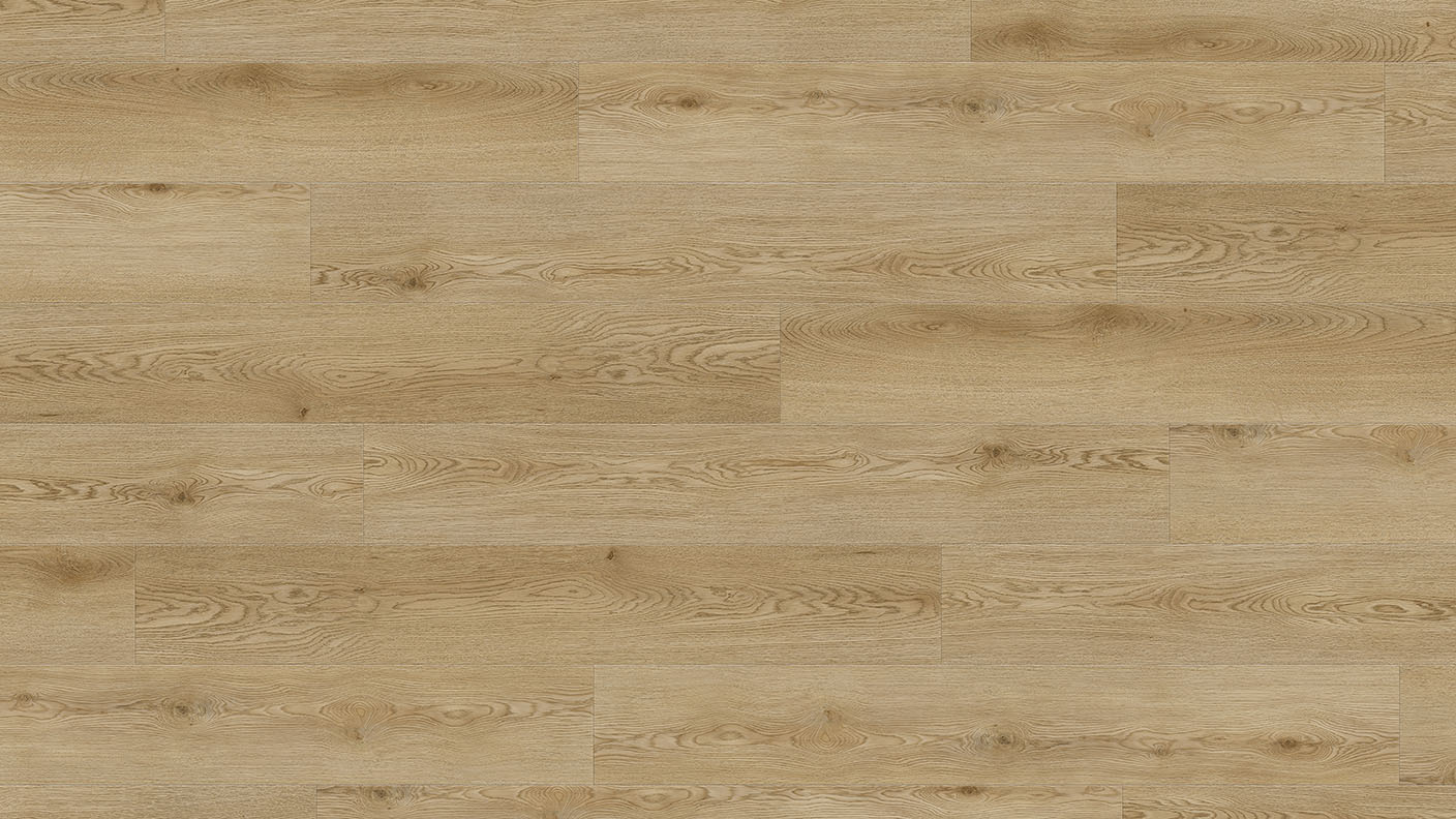 ACF Image 1