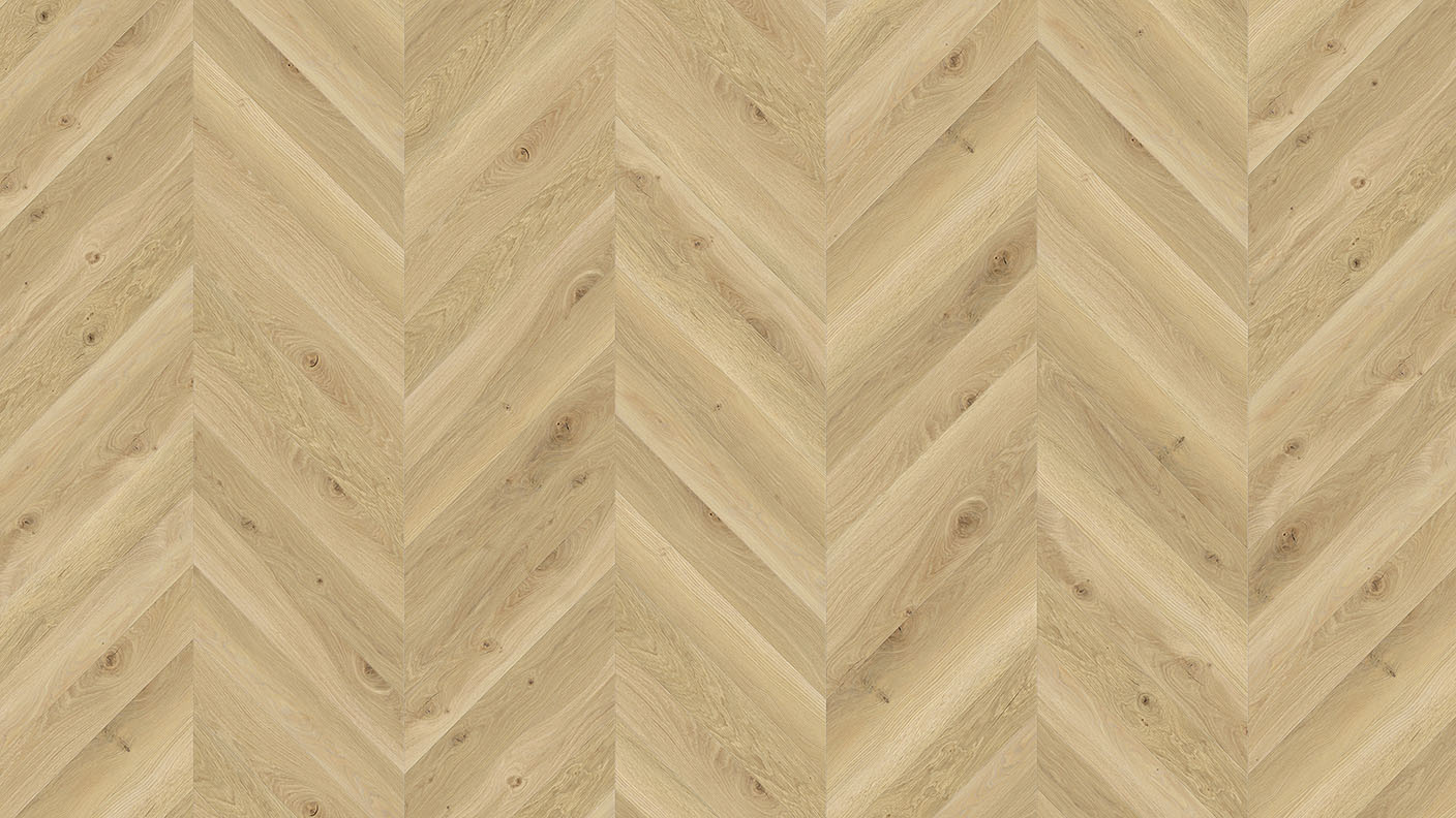 ACF Image 1