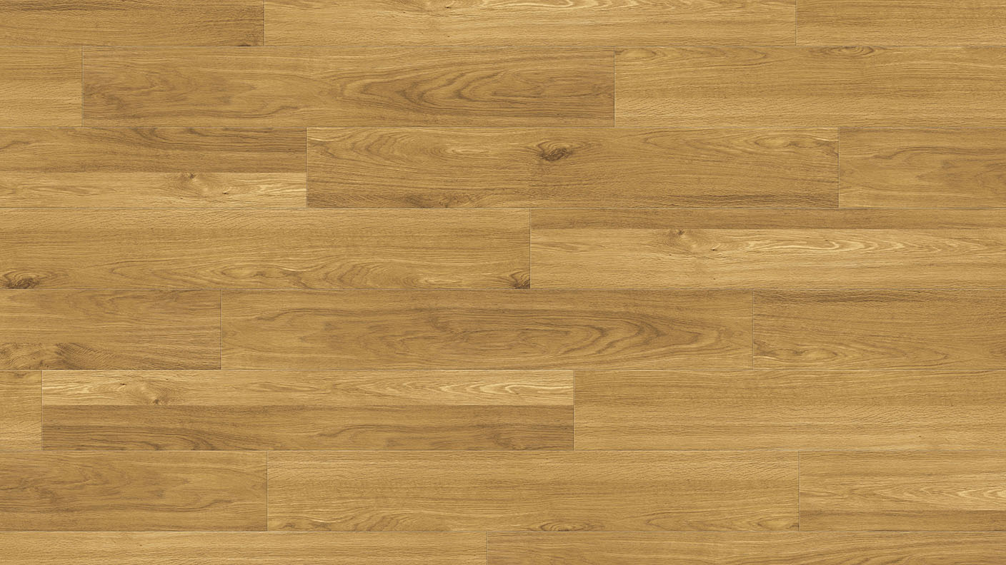 ACF Image 1