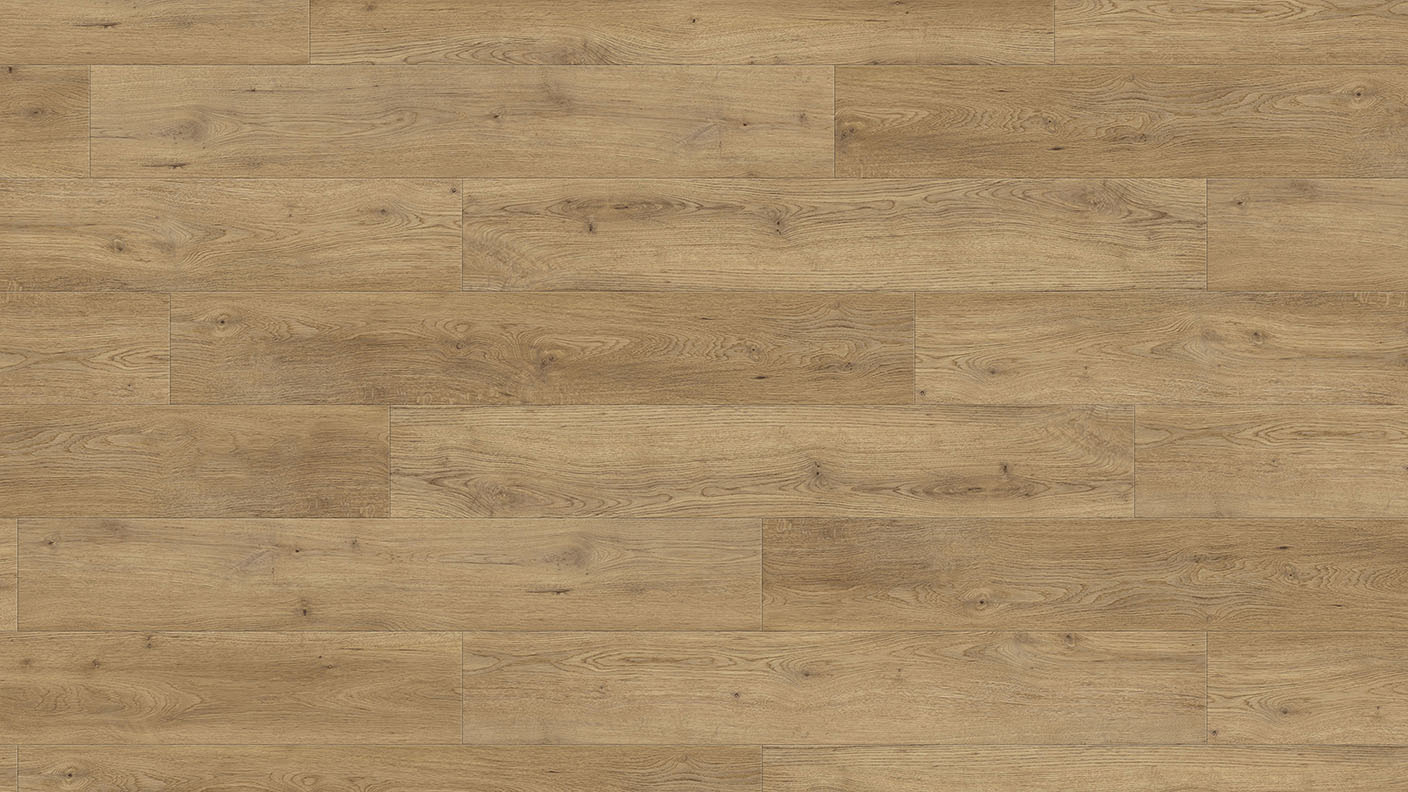 ACF Image 1