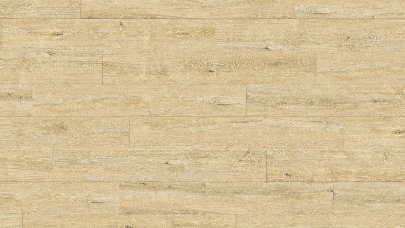 ACF Image 1