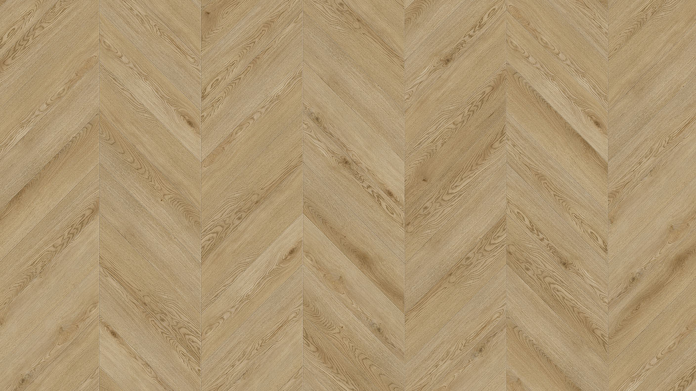 ACF Image 1