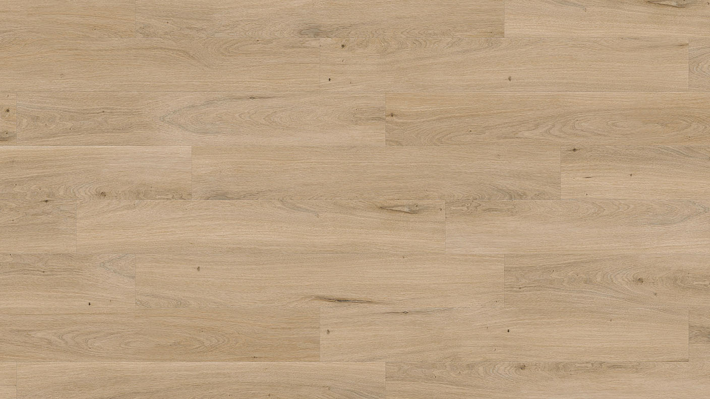 ACF Image 1