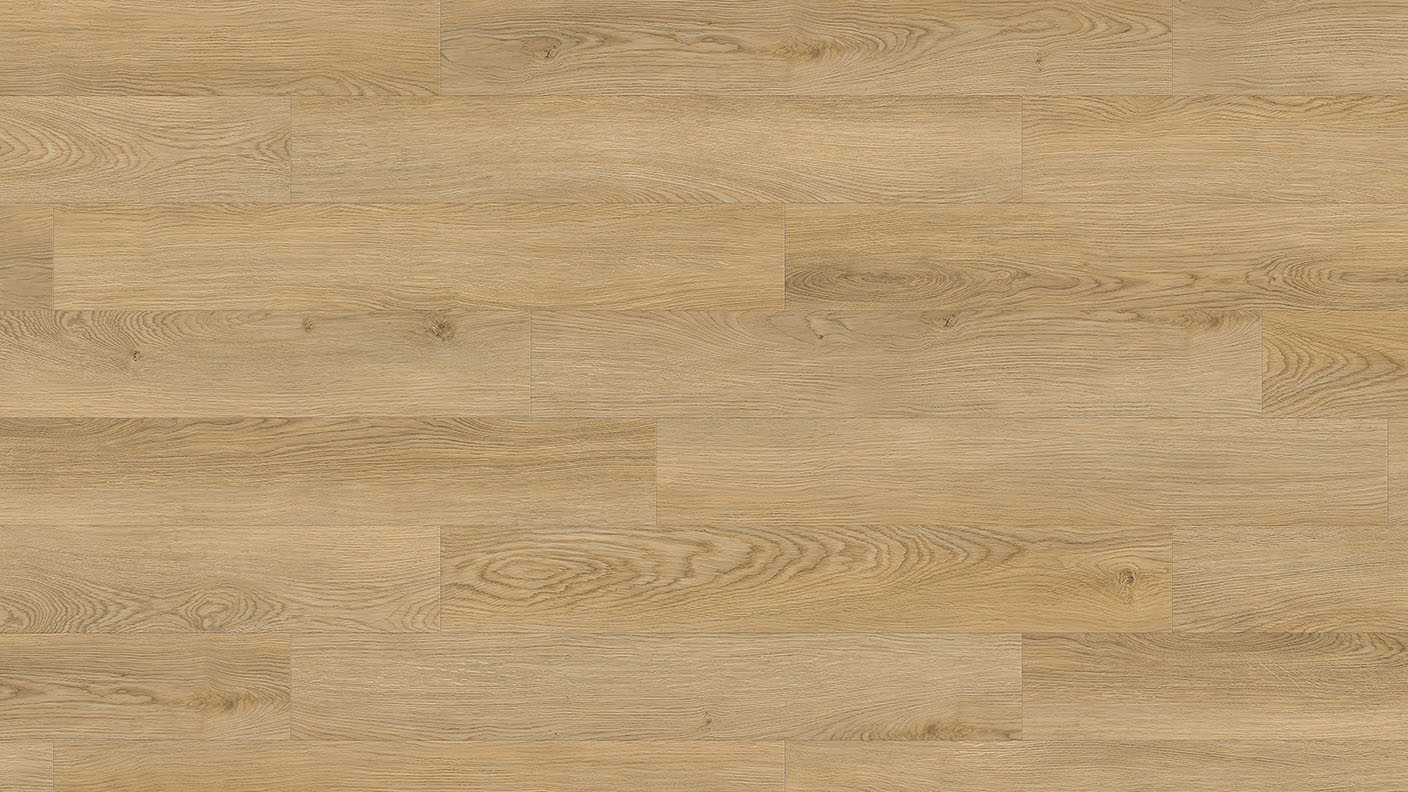 ACF Image 1
