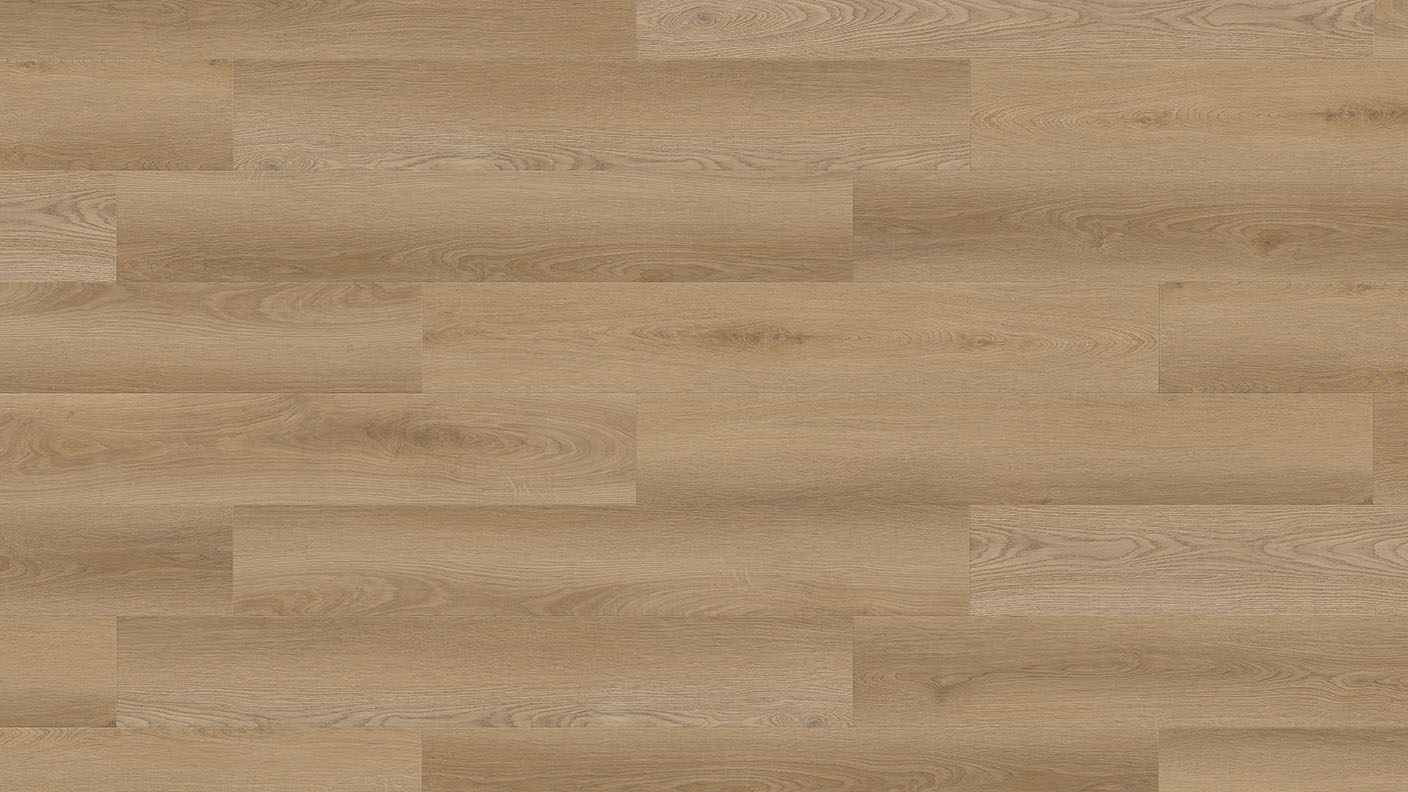 ACF Image 1